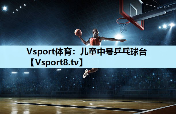 Vsport体育：儿童中号乒乓球台