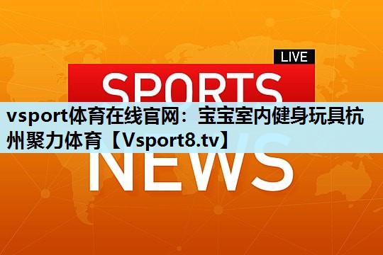 vsport体育在线官网：宝宝室内健身玩具杭州聚力体育