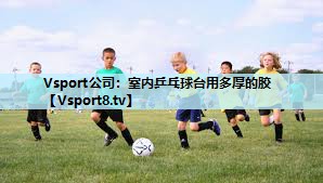 Vsport公司：室内乒乓球台用多厚的胶