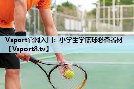 Vsport官网入口：小学生学篮球必备器材