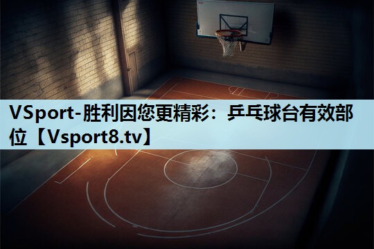 VSport-胜利因您更精彩：乒乓球台有效部位