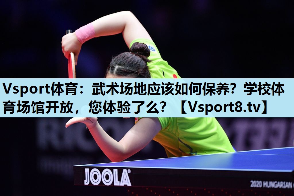 Vsport体育：武术场地应该如何保养？学校体育场馆开放，您体验了么？