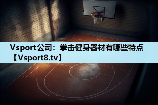 Vsport公司：拳击健身器材有哪些特点