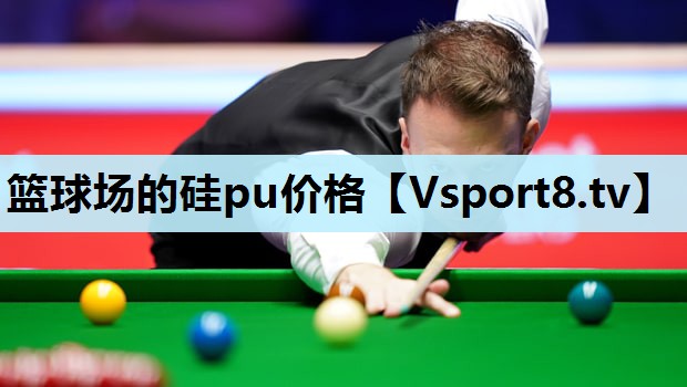 篮球场的硅pu价格