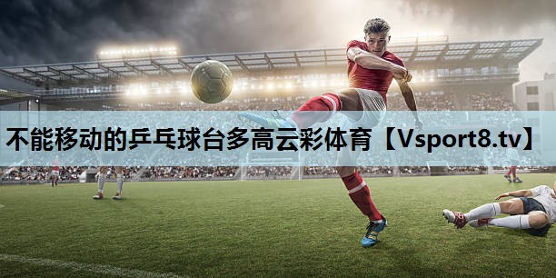 不能移动的乒乓球台多高云彩体育