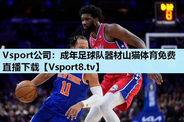 Vsport公司：成年足球队器材山猫体育免费直播下载