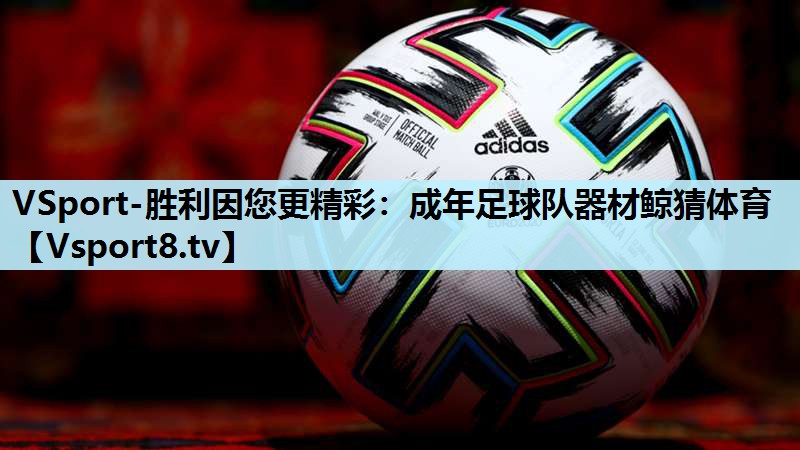 VSport-胜利因您更精彩：成年足球队器材鲸猜体育