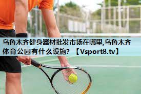 乌鲁木齐健身器材批发市场在哪里,乌鲁木齐体育公园有什么设施？