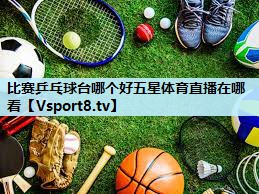 比赛乒乓球台哪个好五星体育直播在哪看