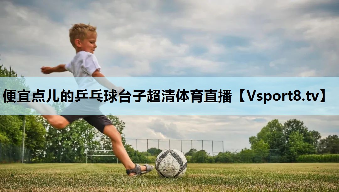 便宜点儿的乒乓球台子超清体育直播
