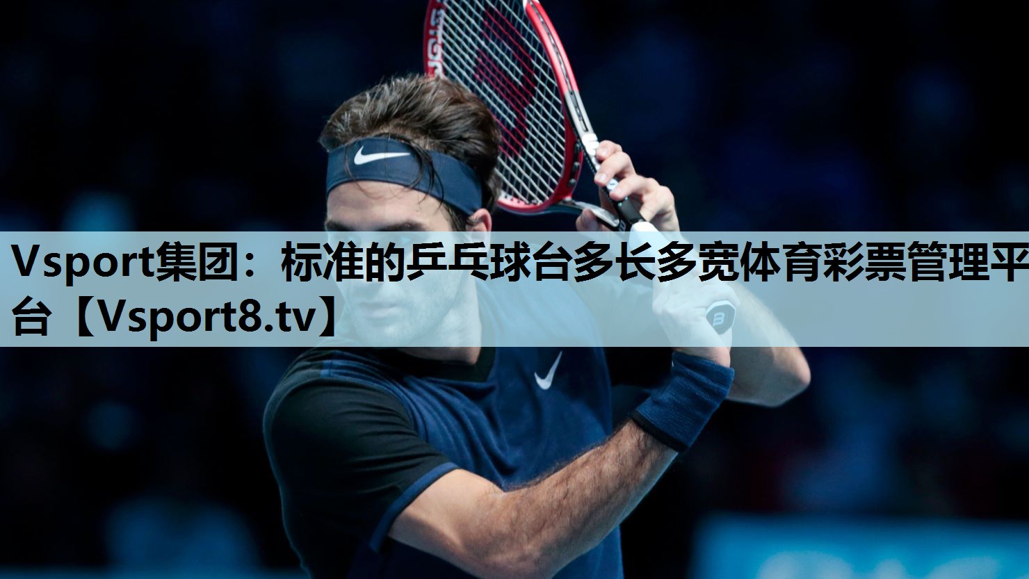 Vsport集团：标准的乒乓球台多长多宽体育彩票管理平台