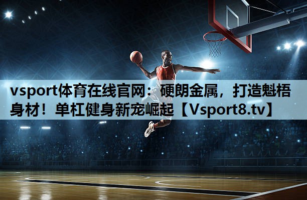 vsport体育在线官网：硬朗金属，打造魁梧身材！单杠健身新宠崛起