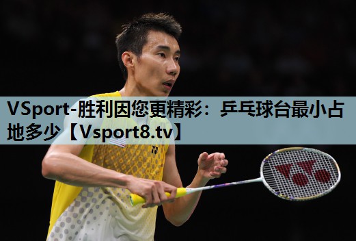 VSport-胜利因您更精彩：乒乓球台最小占地多少
